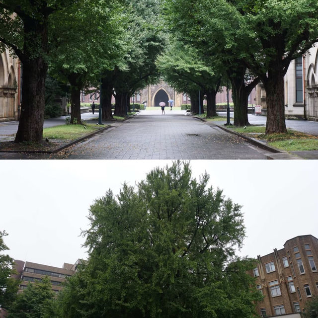 走進東京大學 | 探尋學術與文藝的象牙塔🎓