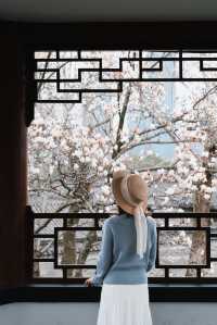 99%寧波人不知道中山公園這個窗景太好拍了