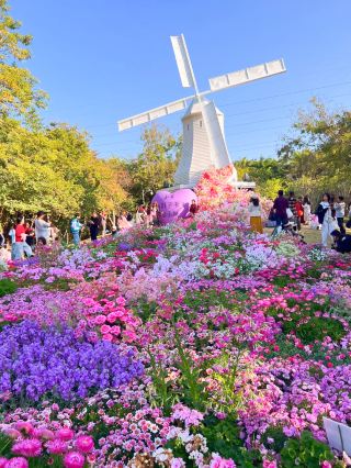Shenzhen Holland Flower Town—everyone who comes here is speechless.