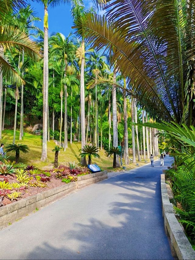 闖進現實版綠野仙蹤 | 廈門園林植物園