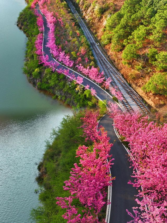 旅行的路上，看萬物都可愛。