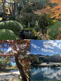 日本庭園的天花板｜足立美術館