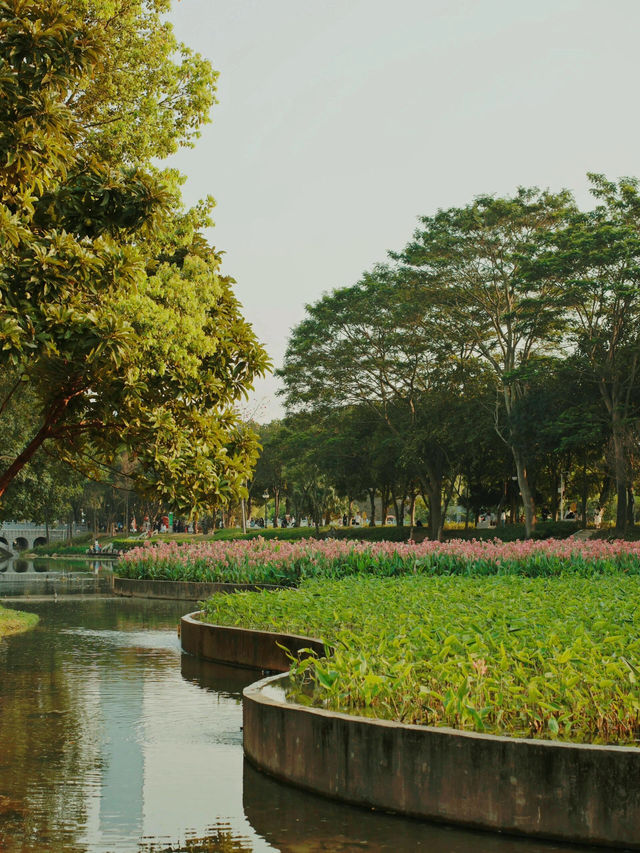 深圳中心公園：都市綠色心臟
