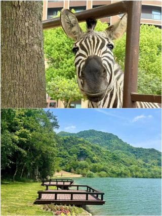 I suffered in Huzhou and came back, I really don't recommend going