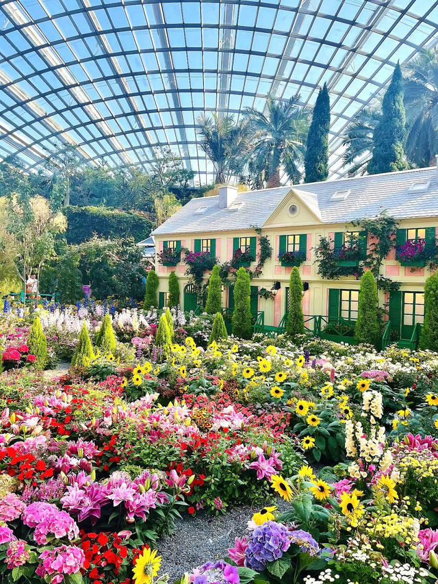 新加坡濱海灣花園，超級震撼的未來綠洲✨