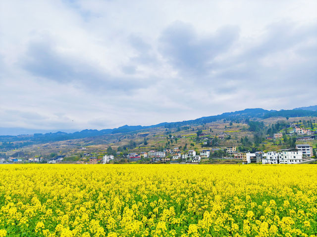 重慶周邊賞花好去處！