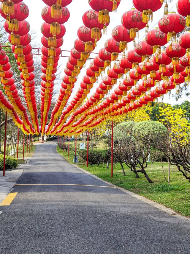 百花盛開嘅踏春之旅 喺蓮花山浪漫暢遊