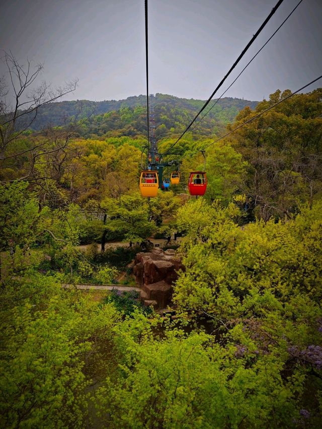 Huishan Ancient Town – Scenic & Historic