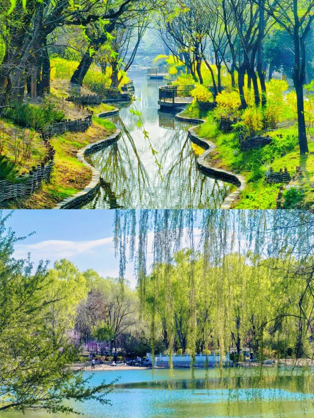 北塢公園：免費開放！騎行、釣魚、遛娃，京西寶藏綠肺