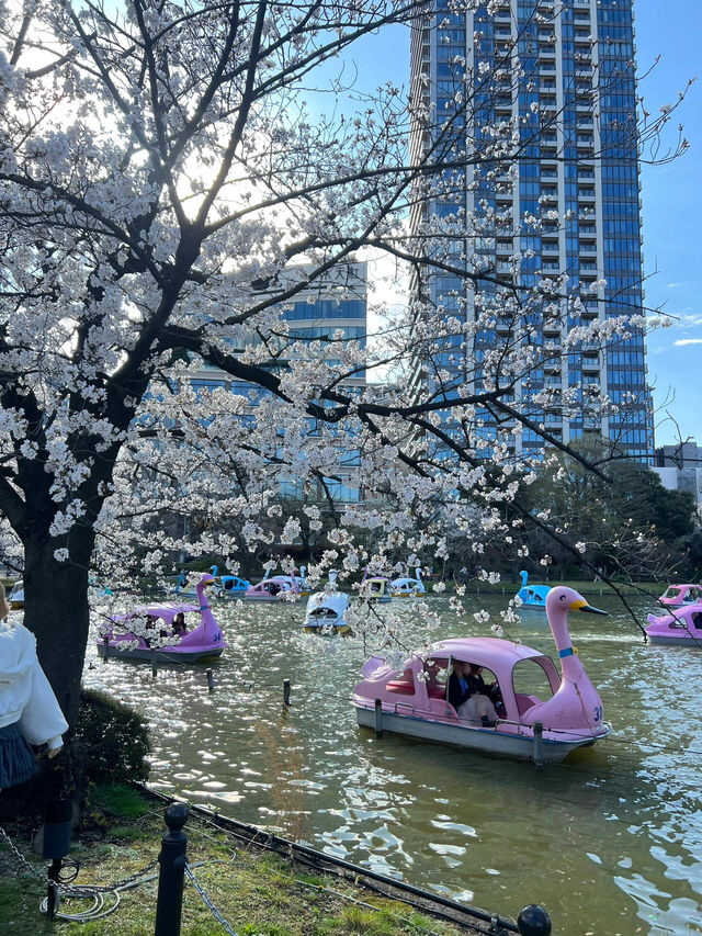 東京上野恩賜公園——一個讓人流連忘返的綠意角落