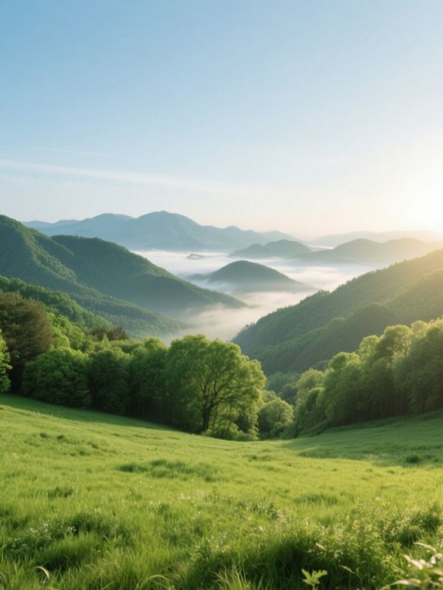 莫干山初遊指南｜新手必看避坑攻略