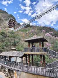 遊客很少山花爛漫的小眾景點