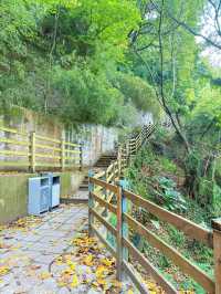 重慶最具「山城特色」的山城步道