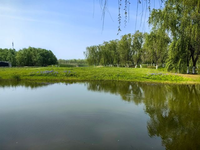 環遊巢湖