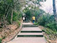 廣東省肇慶市著名森林公園：羚羊峽古棧道森林公園，適合觀光旅遊、度假休閒等！
