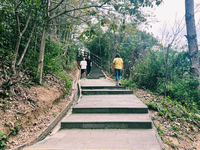 廣東省肇慶市著名森林公園：羚羊峽古棧道森林公園，適合觀光旅遊、度假休閒等！