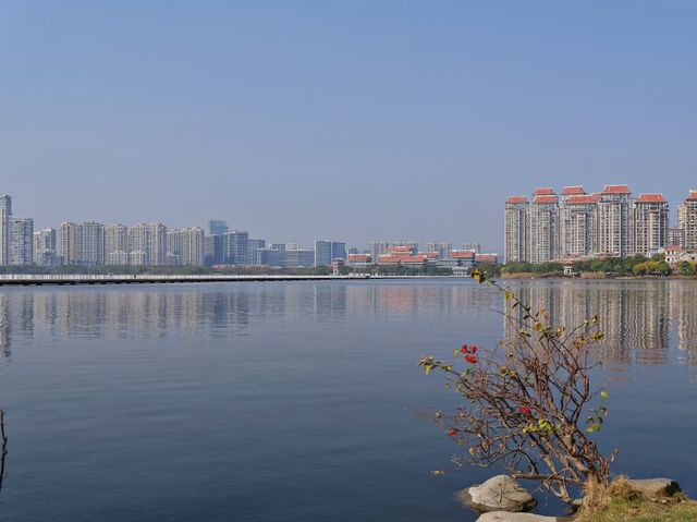 集美湖：都市中的詩意桃源