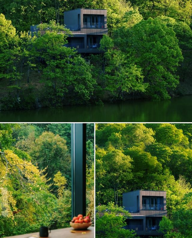 隨州·裸心隱鄉住進銀杏谷裡的森林樹屋別墅