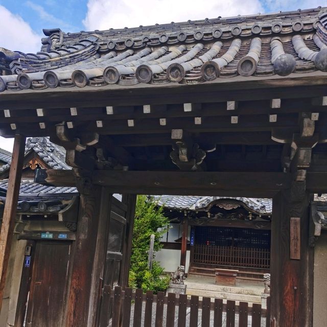 隱藏在大阪的秘境🌿界泉北，慢活之旅 