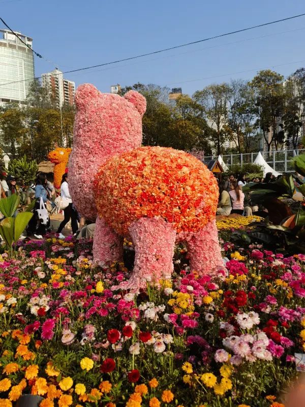 🌸 維多利亞公園花卉展：自然的色彩盛宴
