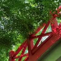 闖入現實版綠野仙蹤🌿中山植物園北園治愈指南