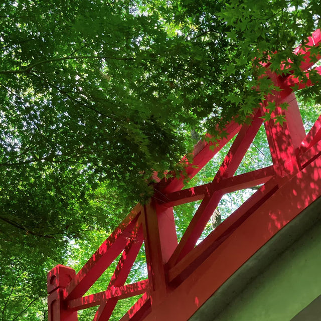闖入現實版綠野仙蹤🌿中山植物園北園治愈指南