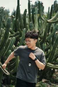 廈門植物園｜多肉區可以有幾好影！