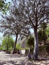 一寺貫六朝——龍門寺