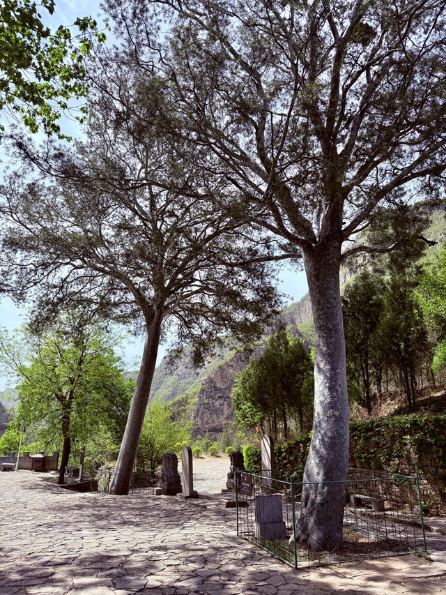 一寺貫六朝——龍門寺