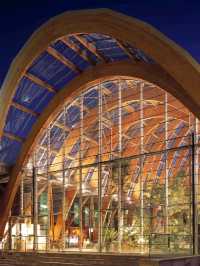 Sheffield Winter Gardens is so Dreamy❤️‍🔥🥰