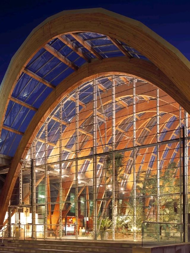Sheffield Winter Gardens is so Dreamy❤️‍🔥🥰