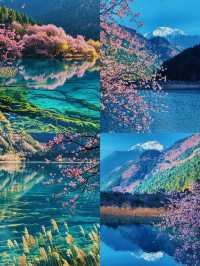 𝙅𝙞𝙪𝙕𝙝𝙖𝙞𝙂𝙤𝙪九寨溝
