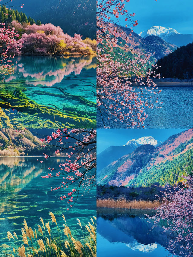 𝙅𝙞𝙪𝙕𝙝𝙖𝙞𝙂𝙤𝙪九寨溝