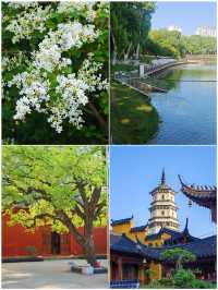 九江受罪已回，真唔建議5月去