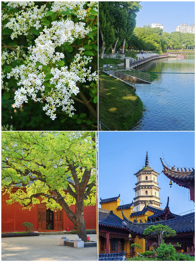 九江受罪已回，真唔建議5月去