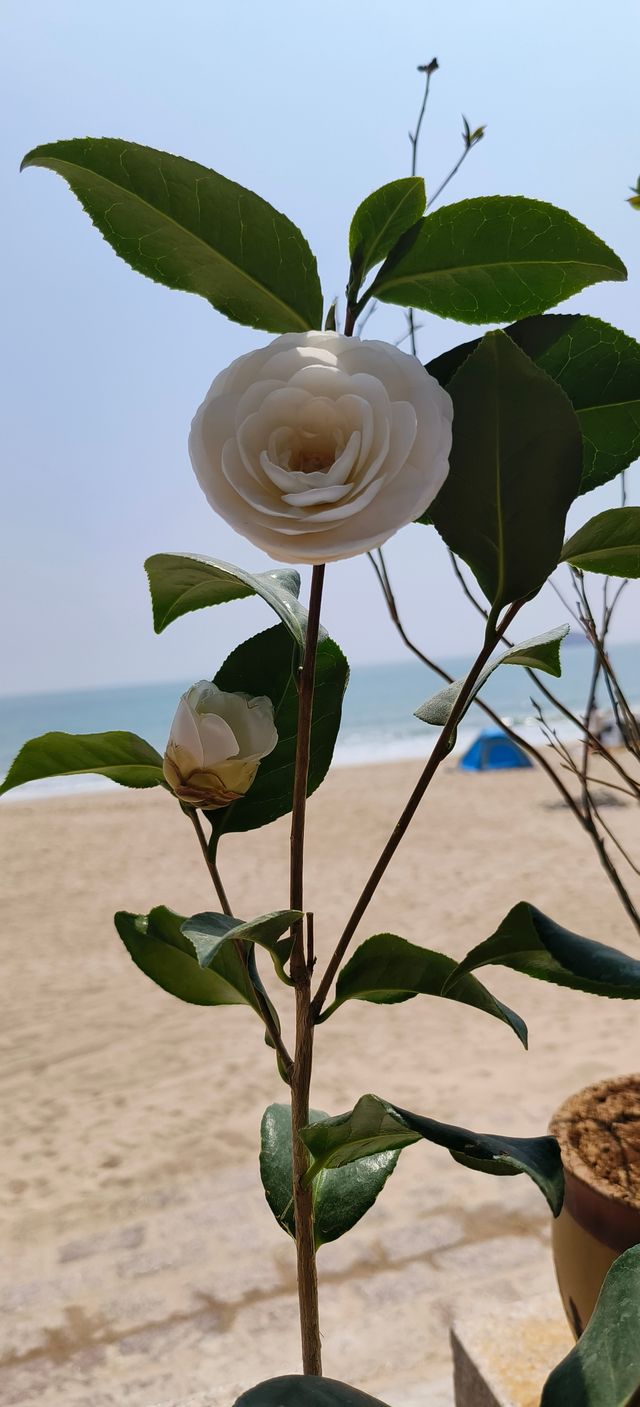 探索青島：寶藏酒店不容錯過！