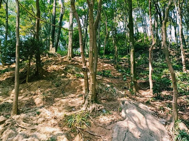Discovering Guiyang's Hidden Gems: Secluded Spots Away from the Crowds