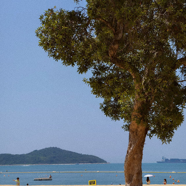 香港淺水灣泳灘深度遊｜解鎖港島的海濱浪漫