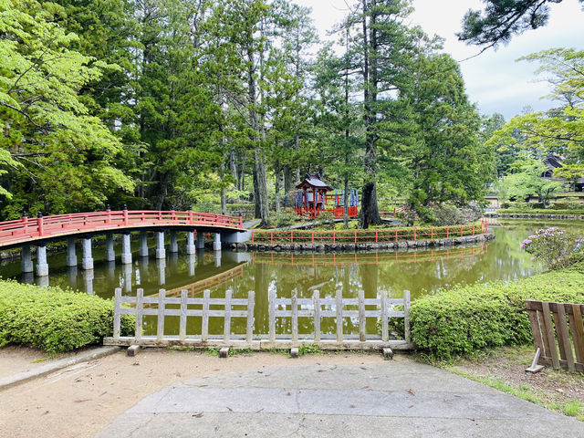 壇上伽藍的春日：在高野山相遇