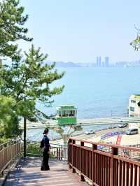 釜山嘅櫻花季就係人間理想
