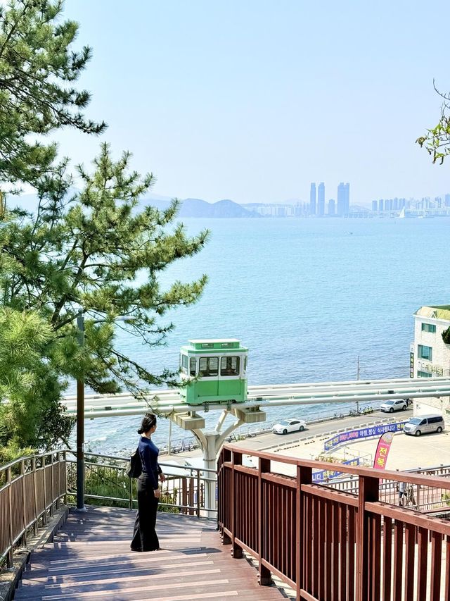 釜山嘅櫻花季就係人間理想