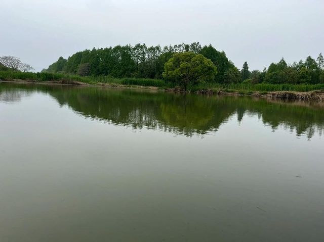 自駕一小時，來下渚湖吹吹風！