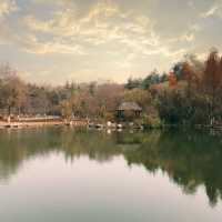 伊犁7日深度遊 玩轉美景。