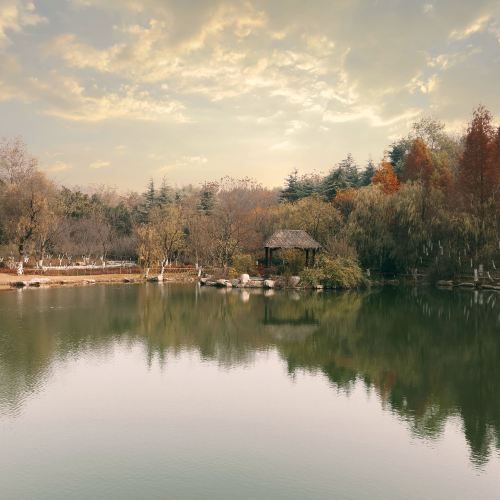 伊犁7日深度遊 玩轉美景。