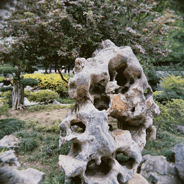 園林：時光裡的詩意棲居🪸