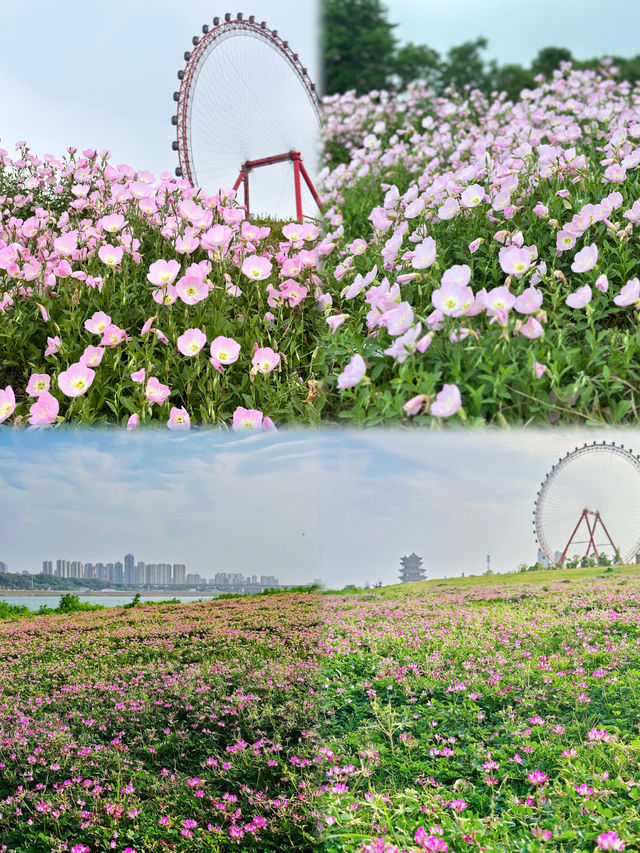 【湘潭文旅·紅色與詩意共舞】