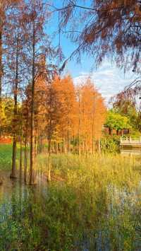 漳州龍文郊野公園：城市中的大自然
