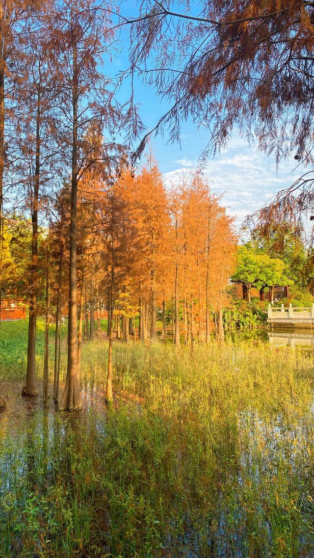 漳州龍文郊野公園：城市中的大自然