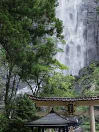 熊野古道｜遇見神明散步嘅森林
