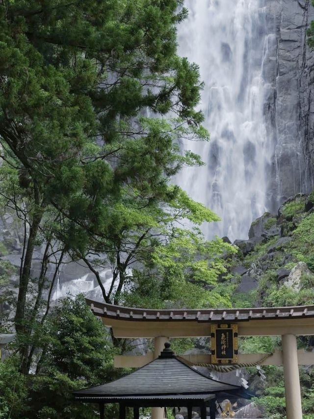 熊野古道｜遇見神明散步嘅森林